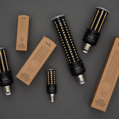 Light Engine I E12 Dim-to-Warm LED Bulb