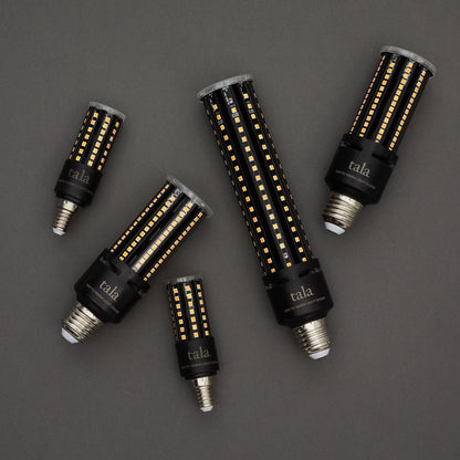 Light Engine III E26 Dim-to-Warm LED Bulb